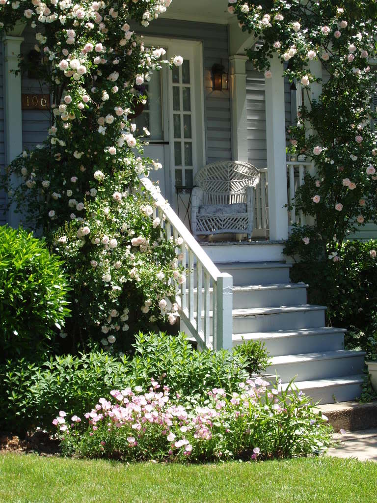 Miss Gingham: Climbing Roses